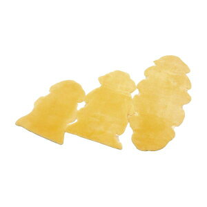 yF1z4531620123030  sE[J[s EBY i[VObO C NR|2P