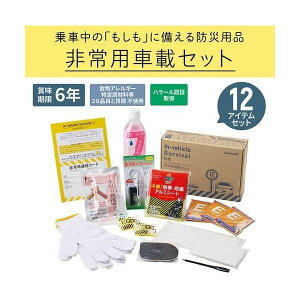 キングジム KIMG JIM SYS-200 非常用車載セット A5ファイルサイズ SYS200