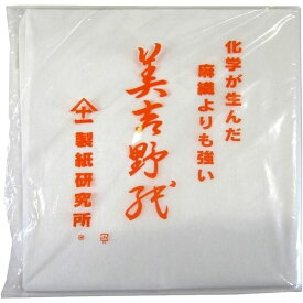 大塚刷毛製造 3224060000 美吉野紙 530mm×300mm 100入