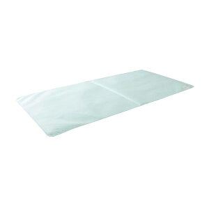 yF1z4958308312324  sE[J[s I[V V[g hCŃN[ VO 950X1900MM