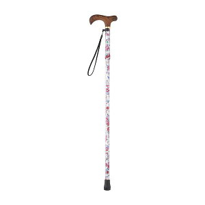 yF1z4511001610007  sE[J[s JChEFA fGȃXebL Lk܂肽 CH231145W01 Vo[ni