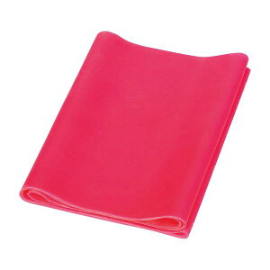 y12/10IIōő100|CgobNzyF1z4535847032366  sE[J[s TVCh GNTTCYoh  EA|8151 sN