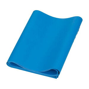 y12/10IIōő100|CgobNzyF1z4535847032380  sE[J[s TVCh GNTTCYoh  EA|8153 u[