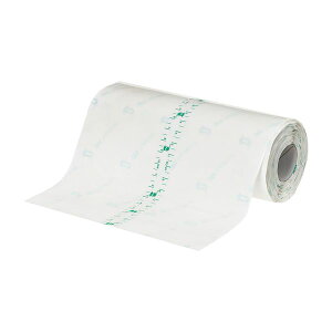 yF1z4550309175238  sE[J[s X[GWp eK_[[ 16006 15CMX10M 1J