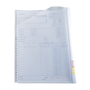 y11/25IIōő100|CgobNzyF10z4582201814212 y10z  sE[J[s P Ci[t@C A4p Ή^ KS|050 303X225MM