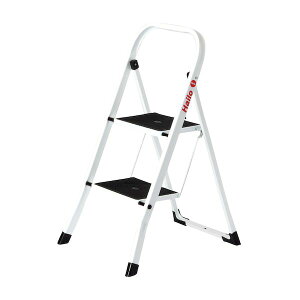 y12/10IIōő100|CgobNzyF1z4905605600012  sE[J[s nC r nCK20 2i 60001