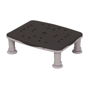 yF1z4549980575321  sE[J[s pi\jbNGCWt[  Air M[1220 PN|L11220BR JuE