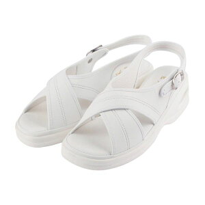 yF1z4560168804293  sE[J[s t@[XgCg GA[NXT_ zCg M 22D5|23D0CM