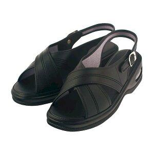 yF1z4560168804347  sE[J[s t@[XgCg GA[NXT_ ubN L 23D5|24D0CM