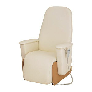 yF1z4582336011289  sE[J[s tBteBEBWi[ dJo[`FA xe~j FV|ME|5000 AC{[