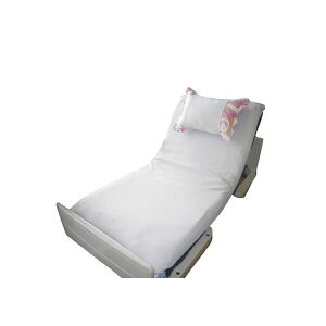 y11/25IIōő100|CgobNzyF1z4589658686010  sE[J[s ӂꂠT|[g VEKV[c FR103