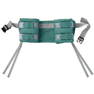 yF1z4521573010464  sE[J[s gȊB Je[epیxg Gp MY|TK1100