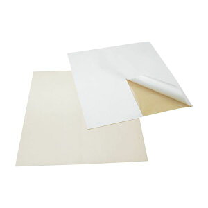 yF1z4580454852814  sE[J[s ~ ppE`یtB 410 10