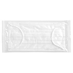 yF1z4901126200199  sE[J[s H 炩ȔGT[WJ}XN  MM2001 o