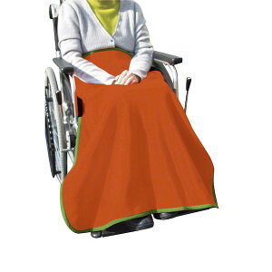 yF1z4562282140165  sE[J[s yc @\uPbg IW 70X100CM