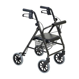 yF1z4958995870718  sE[J[s | s nbs[~jg[ 117071 _[NO[^bN