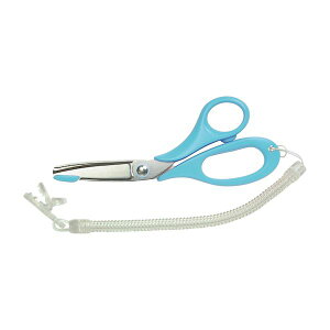 y11/10IIōő100|CgobNzyF1z4965054261110  sE[J[s ؑn쏊 i[X͂݃fBT| MS1|145B u[