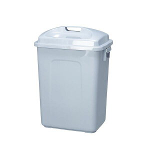 yF1z4979652305992  sE[J[s 艻H |y[p^ Wt 65L CgO[ KL|60 465X355X655