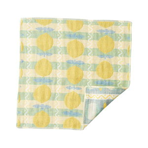 y11/25IIōő100|CgobNzyF1z22556012  sE[J[s Pocchi 3dK[[nJ` l[h