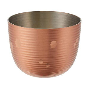 yF1zCF-41-1  sE[J[s V ጎ łۂ  CF411