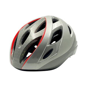 yF1z22543505  sE[J[s ASG TCNwbg O[