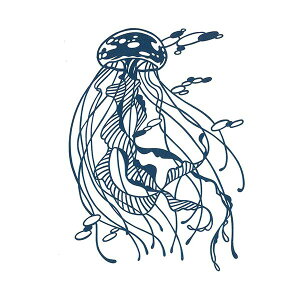 yF1zBA5-S03  sE[J[s gXgveBO ؂GLbg 炰^jellyfish|A5blue|S nhChy[p[Jbg BA5S03