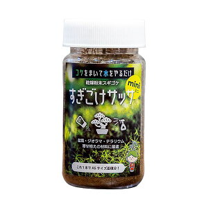 yF1zBIGARROW-SUGIGOKEMINI  sE[J[s rbNA[ XMSP TbTmini BIGARROWSUGIGOKEMINI