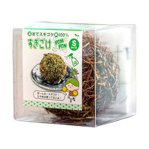 yF1zBIGARROW-SUGIGOKEPOMPON  sE[J[s rbNA[ XMSP̂ POMPON BIGARROWSUGIGOKEPOMPON