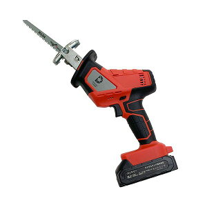 y11/25IIōő100|CgobNzyF1zDL-220711  sE[J[s fW^h [dR[hX̂ DL220711