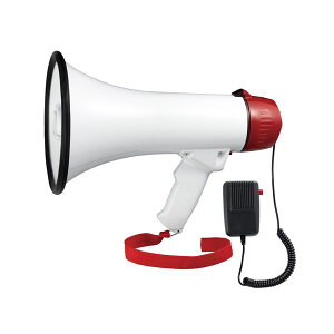 yF1zY01HM10WH  sE[J[s YAZAWA nhKz 10W