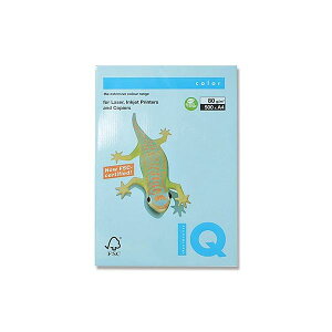 ɓ BT532 ACXu[ oCIgbvJ[A4y500z BT532ACXu[