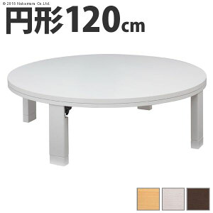 yF1z11100199WH  sE[J[s VR؊ی^܂r h 120cm zCg