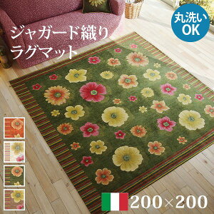 (LINE�N�[�|���L)�y���F1�z61001475VABE ���� ����s�E�����[�J�[�����s�� �C�^���A���W���K�[�h�D�胉�O�}�b�g�|�t�B�I�[��200x200cm �x�[�W��