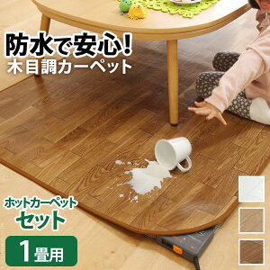 yF1zI-5200001BR  sE[J[s ؖڒzbgJ[ybgEJo[ kEbfBl 1p 200x98 {zbgJ[ybg{ 2_Zbg uE I5200001BR