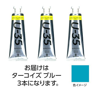 (LINE�N�[�|���L)�^�[�i�[�F�� 4548030087456 U35 �^�[�R�C�Y�u���[60ml 3��