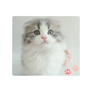 TTvC MPD-215E }EXpbh XReBbVtH[h MPD215E SmooZoo p\RӋ@ SUPPLY Q[~O SANWA  