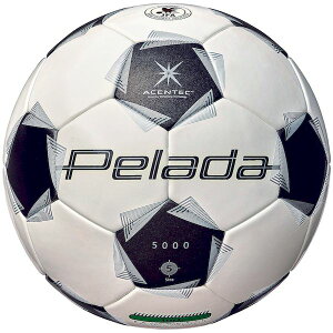 (LINE�N�[�|���L)�����e�� molten 4570031018849 F5K5000 �y���[�_ 5000