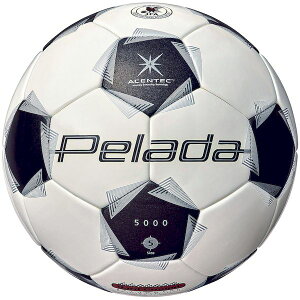 (LINE�N�[�|���L)�����e�� molten 4570031018856 F5K5001 �y���[�_ 5001