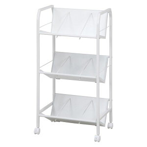 y12/5IIōő100|CgobNzyF1zsf 4953980133106  sE[J[s t@CS 3i