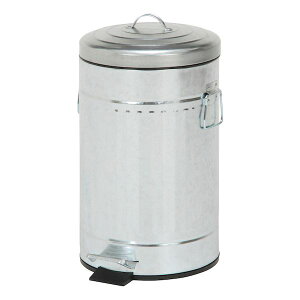 yF6zsf 4953980347411 y6z  sE[J[s X`[ Ehy_y[ 12L KoiCY