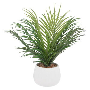 yF1zsf 4953980411327  sE[J[s tFCNO[ V Z~bN|bg