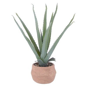 y11/25IIōő100|CgobNzyF1zsf 4953980411341  sE[J[s tFCNO[ AG S Zg|bg