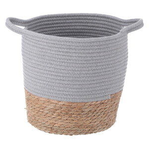 yF1zsf 4953980453860  sE[J[s Jo[ Rbg^K} 10 GY 1