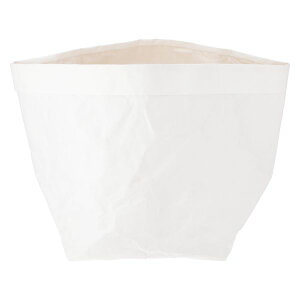 yF1zsf 4953980453891  sE[J[s Jo[ Ntg 10 IV 1