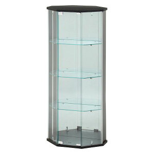 yF1zsf 4953980639349  sE[J[s KXRNVP[X BAAL R[i[ BK