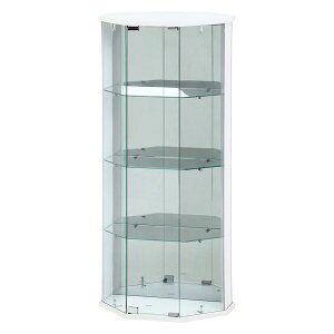 yF1zsf 4953980639356  sE[J[s KXRNVP[X BAAL R[i[ WH