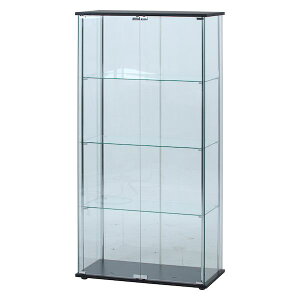 �y���F1�z�s��f�� 4953980988829 ���� ����s�E�����[�J�[�����s�� �K���X�f�B�X�v���C�P�[�X �N���A TMG�|G53�|1