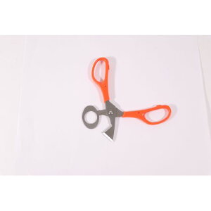 y1z4956856149126 k Jbg vb`