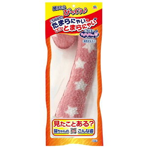 A[XEybg 4994527972802 ˂e ttɂ`W ˂̂