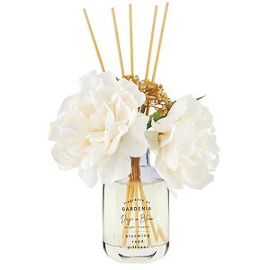 yF1zC6022646  sE[J[s fCYCu[ u[~O[hfBt[U[ K[fjA